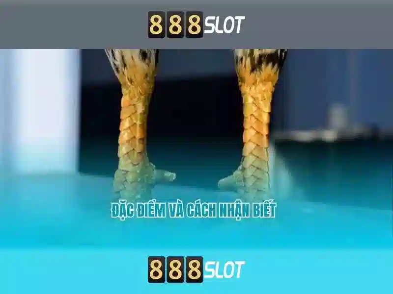 💎bulelani 888slot💎