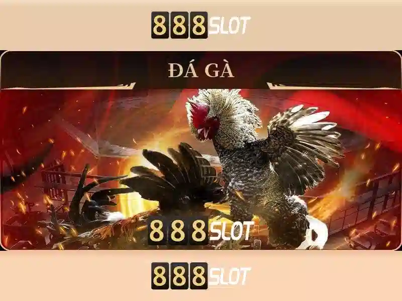 💎keo nha cai bdtv💎