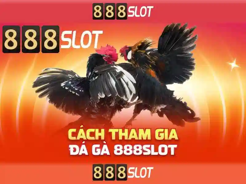 💎the d slot tournament💎