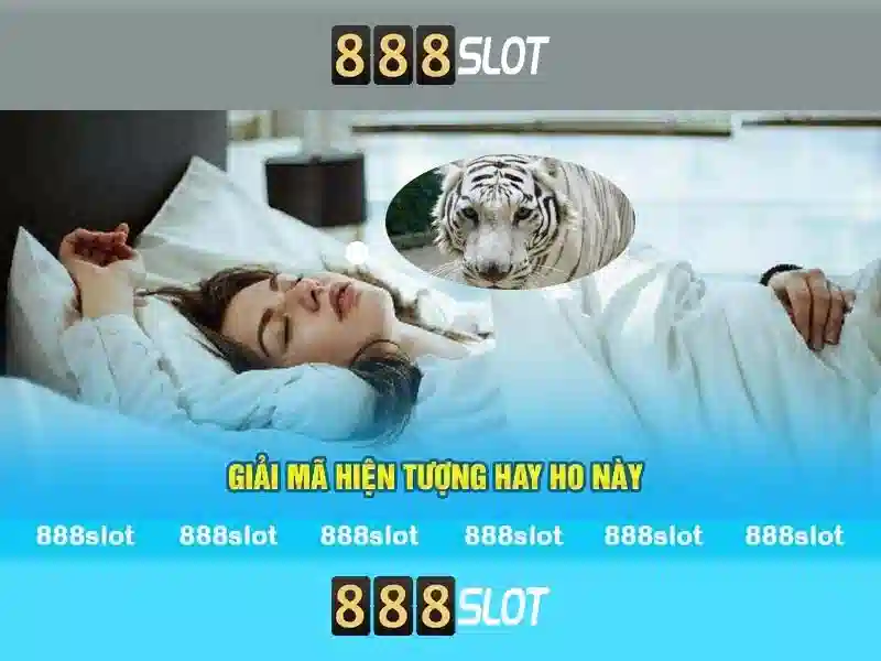 💎888 slot slot gay💎