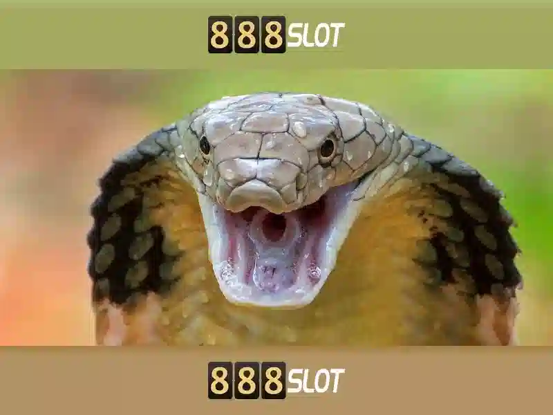 💎so sánh nhà cái💎