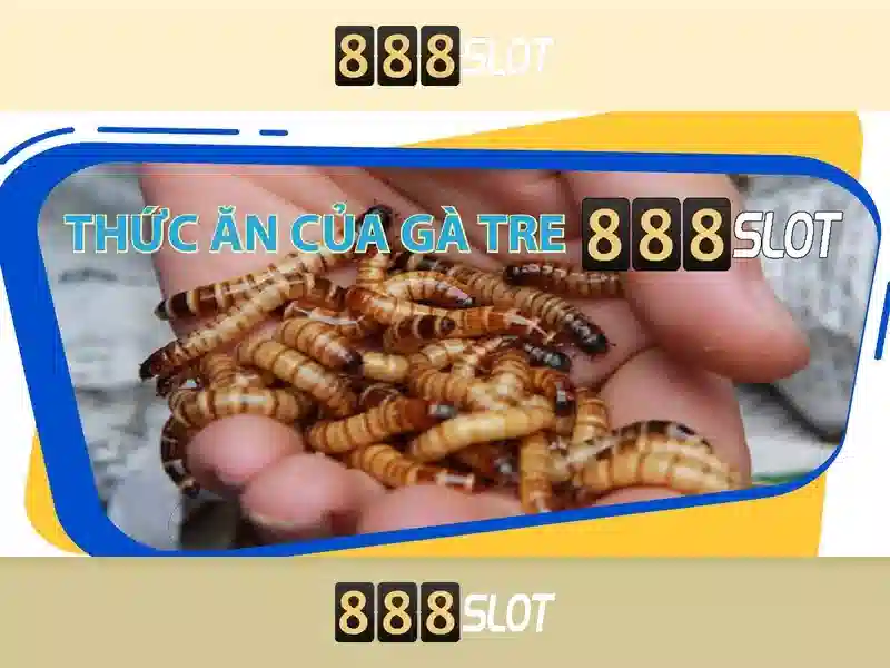 💎slot dipping device💎