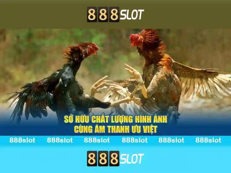 💎nhà cái khuyến mãi cao💎