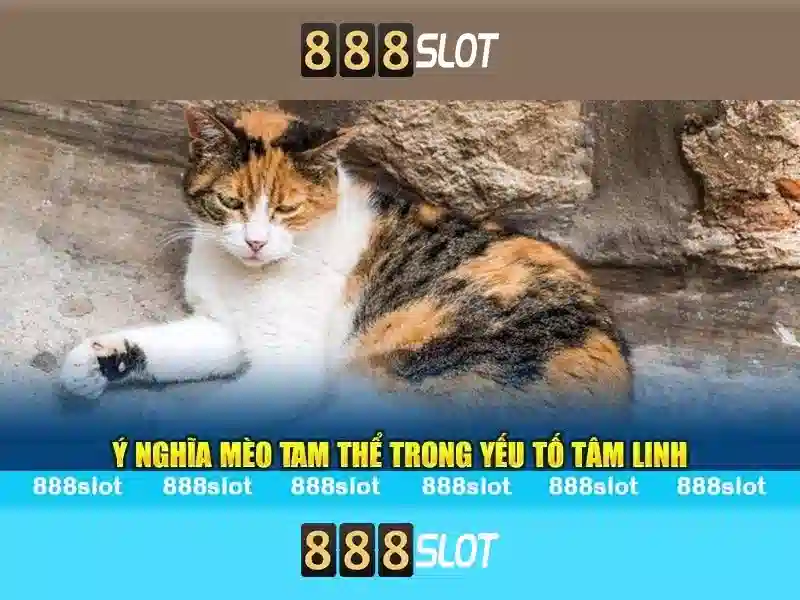 💎888 slot kim com💎