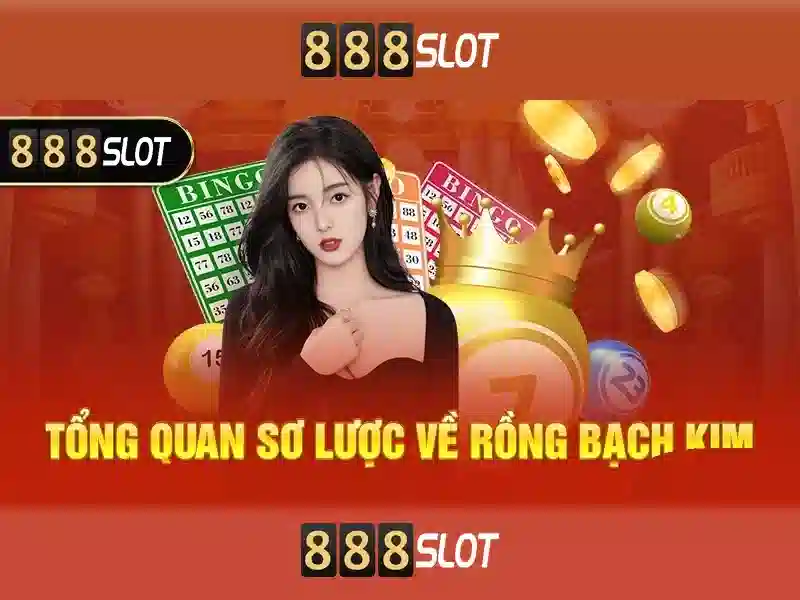 💎cá cược bầu cử💎