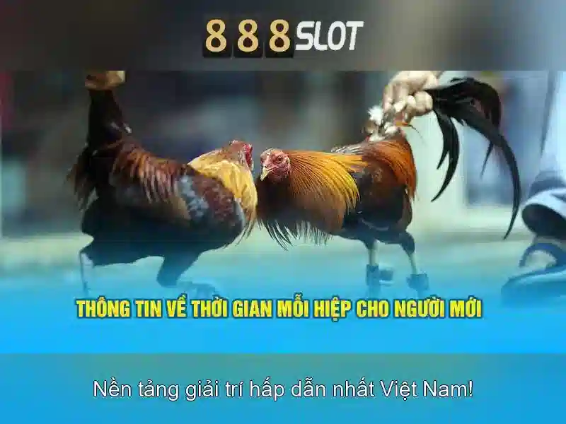 💎hướng dẫn 188v💎 - đánh giá 188v - 188v vom